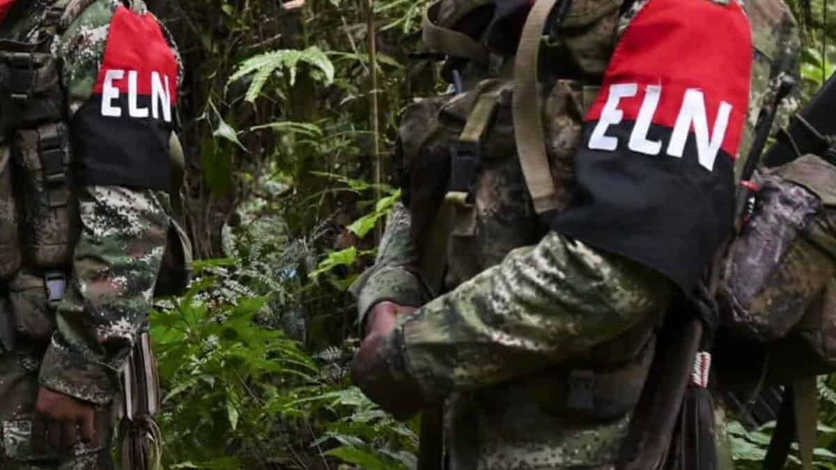 ELN anunció cese al fuego