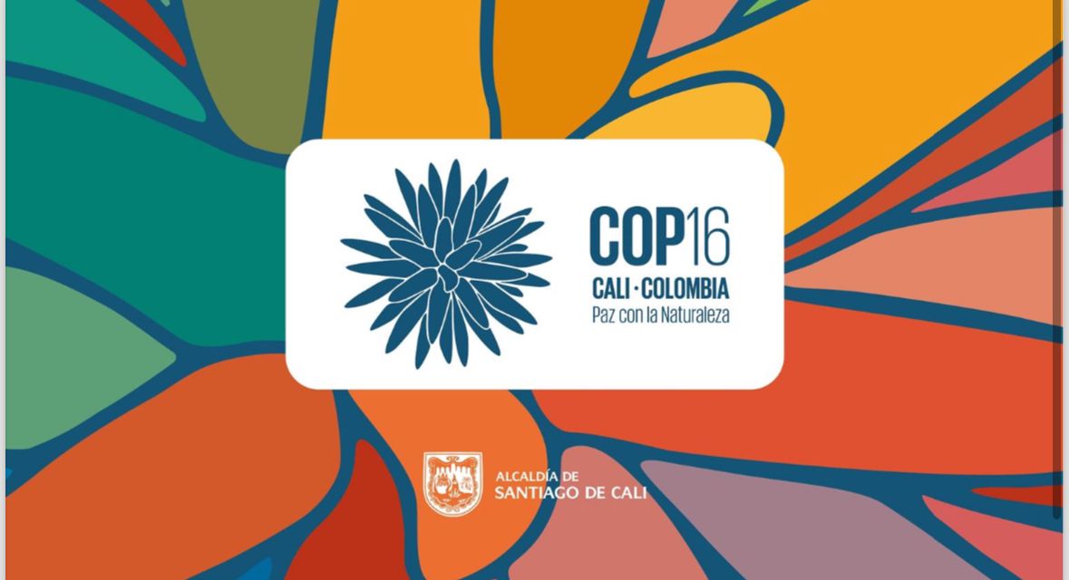 Cali se prepara para ser anfitriona de la COP16, la cumbre mundial sobre biodiversidad