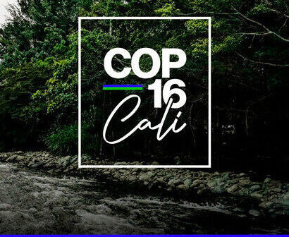Cali ya tiene agenda para la COP16