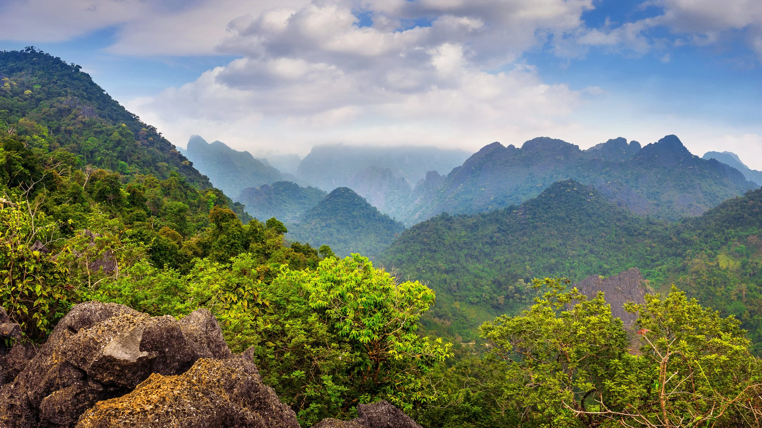 Cali será el epicentro mundial en la lucha por la Biodiversidad