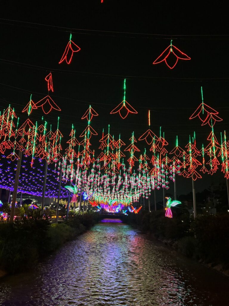 Desde hoy se disfrutan los alumbrados en Medellín en homenaje a los 350 años de la ciudad y los 70 años de EPM
