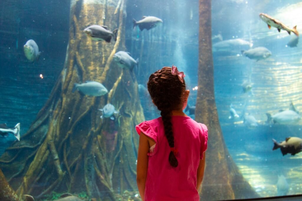 Museos y teatros de Medellín tendrán entrada gratis este semestre