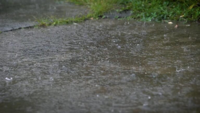 En el Valle de Aburrá no se sintió el verano y ahora marzo arranca con más lluvias