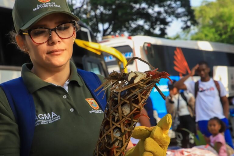 Incautan cangrejos azules vivos y un armadillo listos para vender en la Terminal de Cali