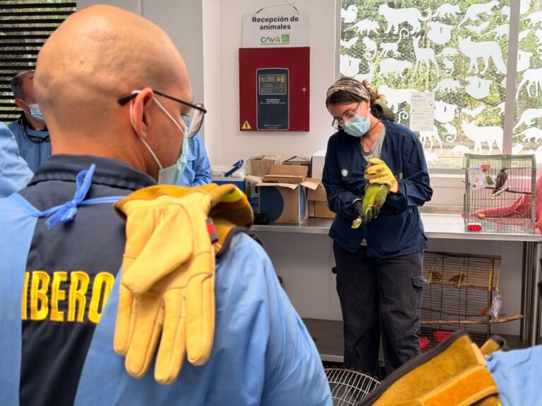 El Área Metropolitana refuerza atención de fauna silvestre en emergencias