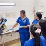 Medellín lanza curso gratuito para salvar la vida de perros y gatos en emergencias