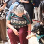 Perros rescatados llevan compañía y alivio emocional a adultos mayores en Boston