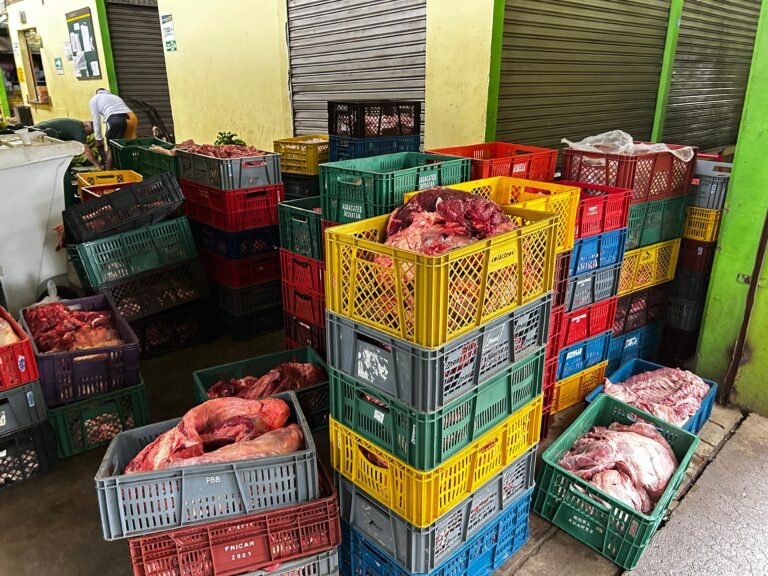 Incautan más de tres toneladas de carne por riesgos sanitarios