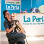 Analí llegó grave a La Perla y hoy busca una familia tras vencer el moquillo