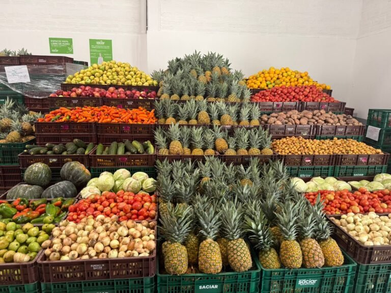 SACIAR cumple 27 años rescatando alimentos y combatiendo el hambre en Colombia