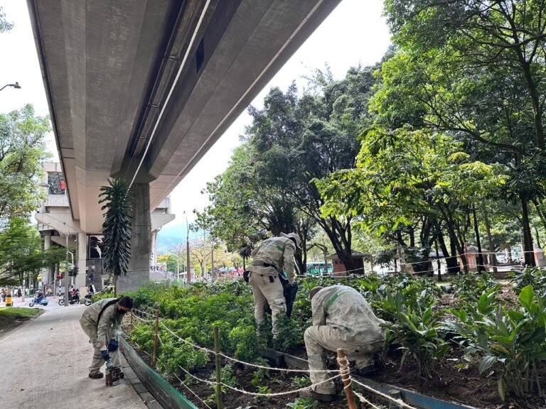Medellín riega con lluvia sus jardines urbanos