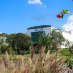 Universidad EIA lidera en Colombia los resultados de las pruebas Saber Pro 2025