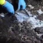 Encuentran más de dos toneladas de cocaína enterradas en Nariño, cerca de la frontera con Ecuador