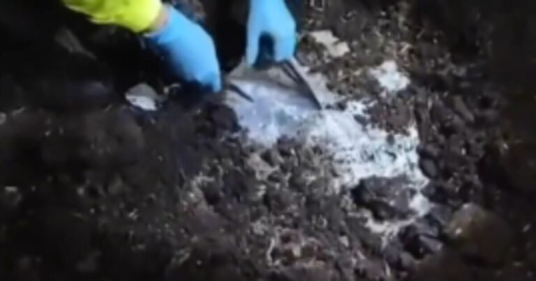 Encuentran más de dos toneladas de cocaína enterradas en Nariño, cerca de la frontera con Ecuador